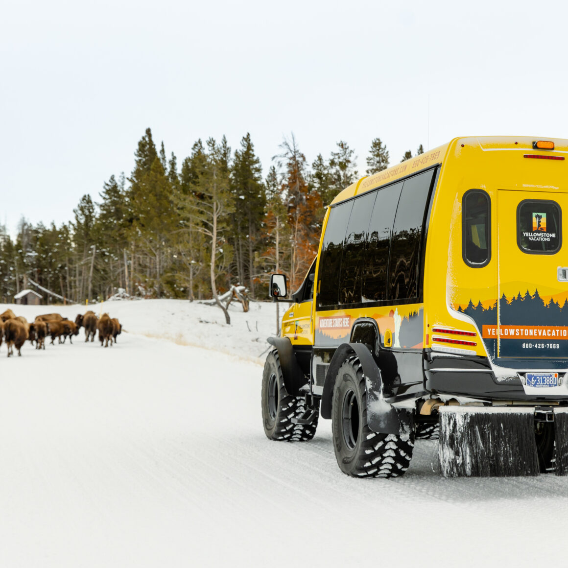 Yellowstone snowcoach photography trip