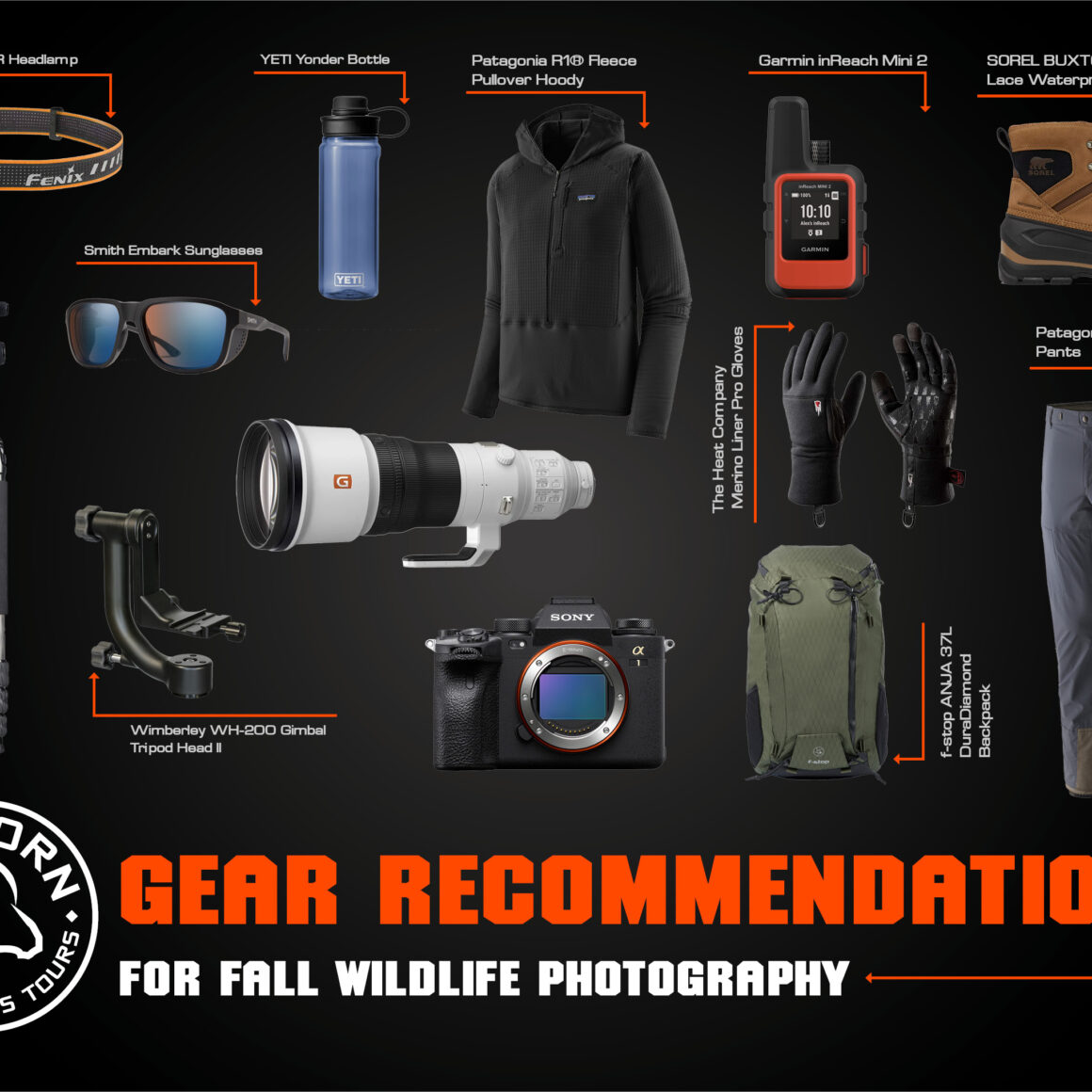 fall wildlife photography gear