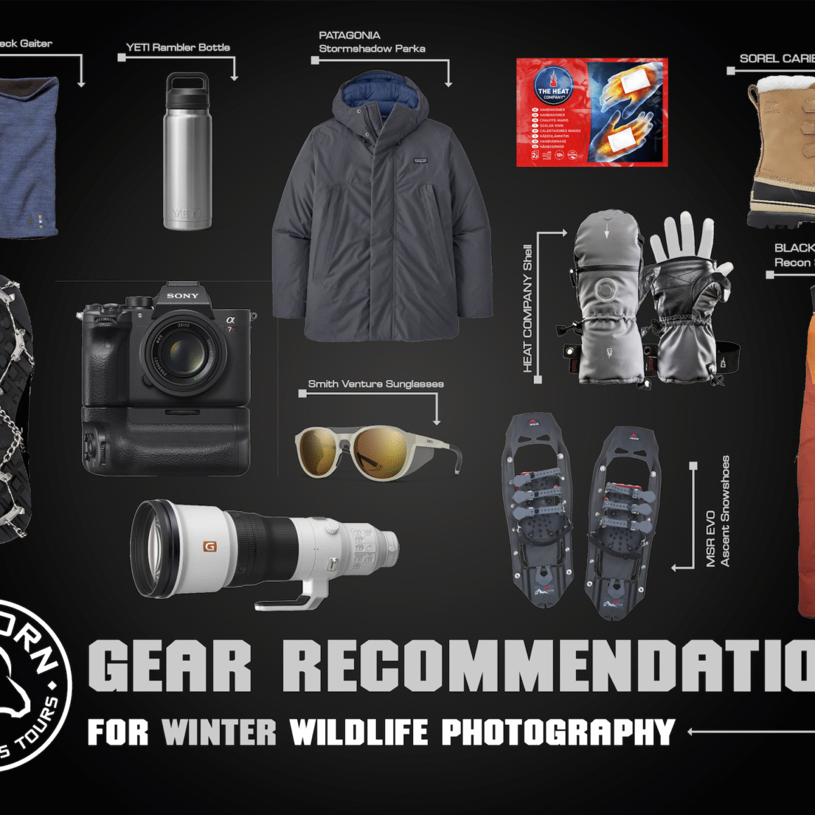 winter wildlife photography gear image