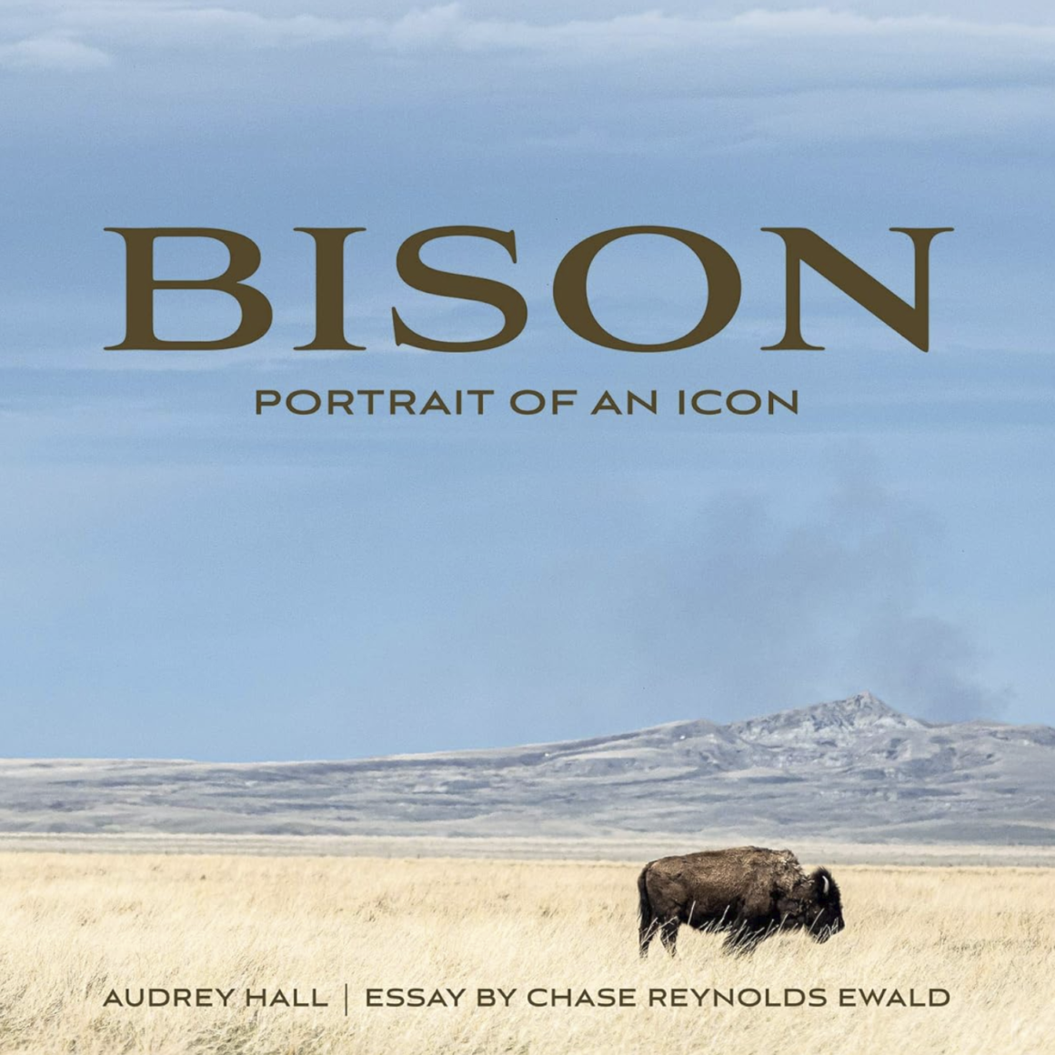 Bison: Portrait of an Icon book cover