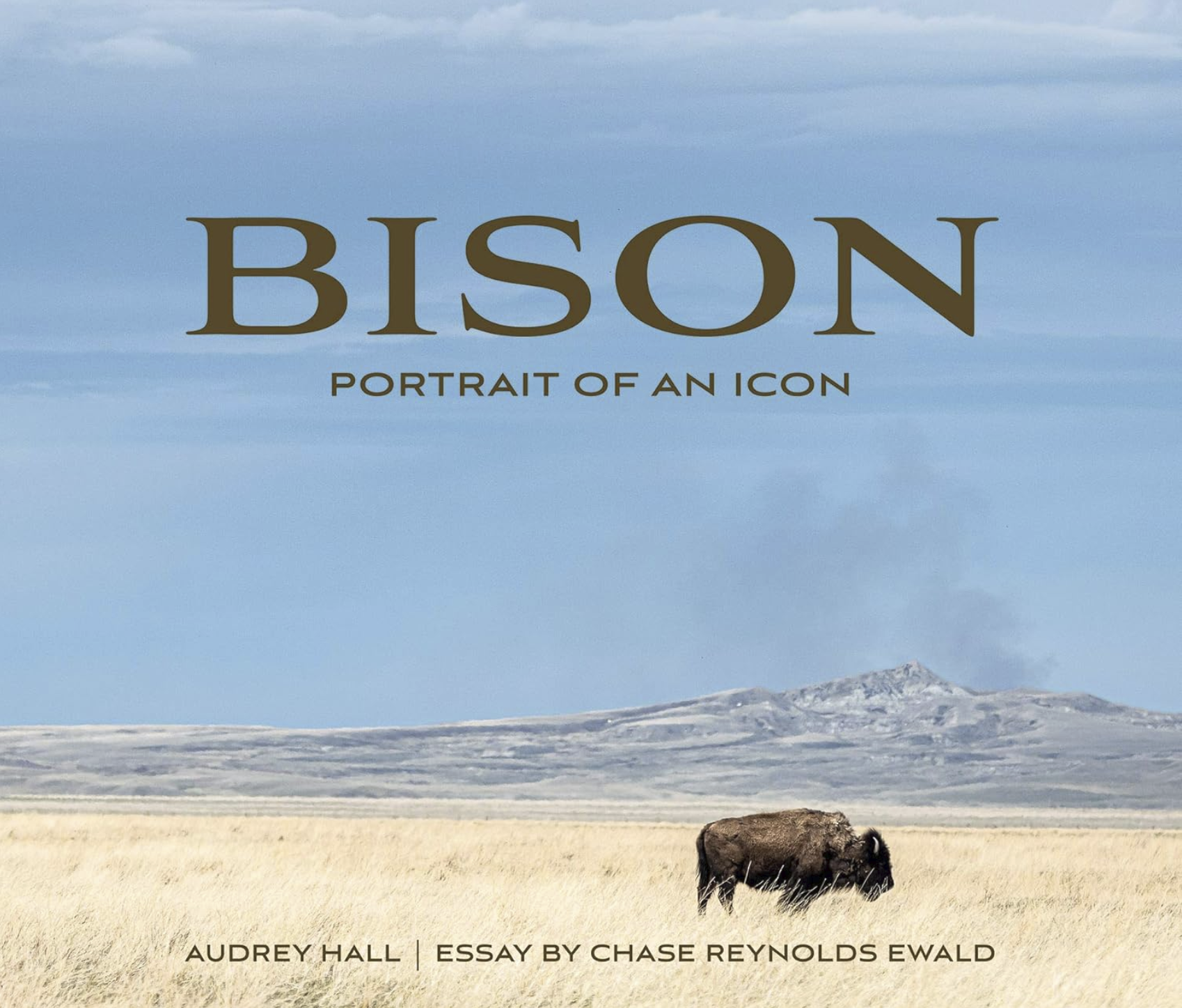 Bison: Portrait of an Icon book cover