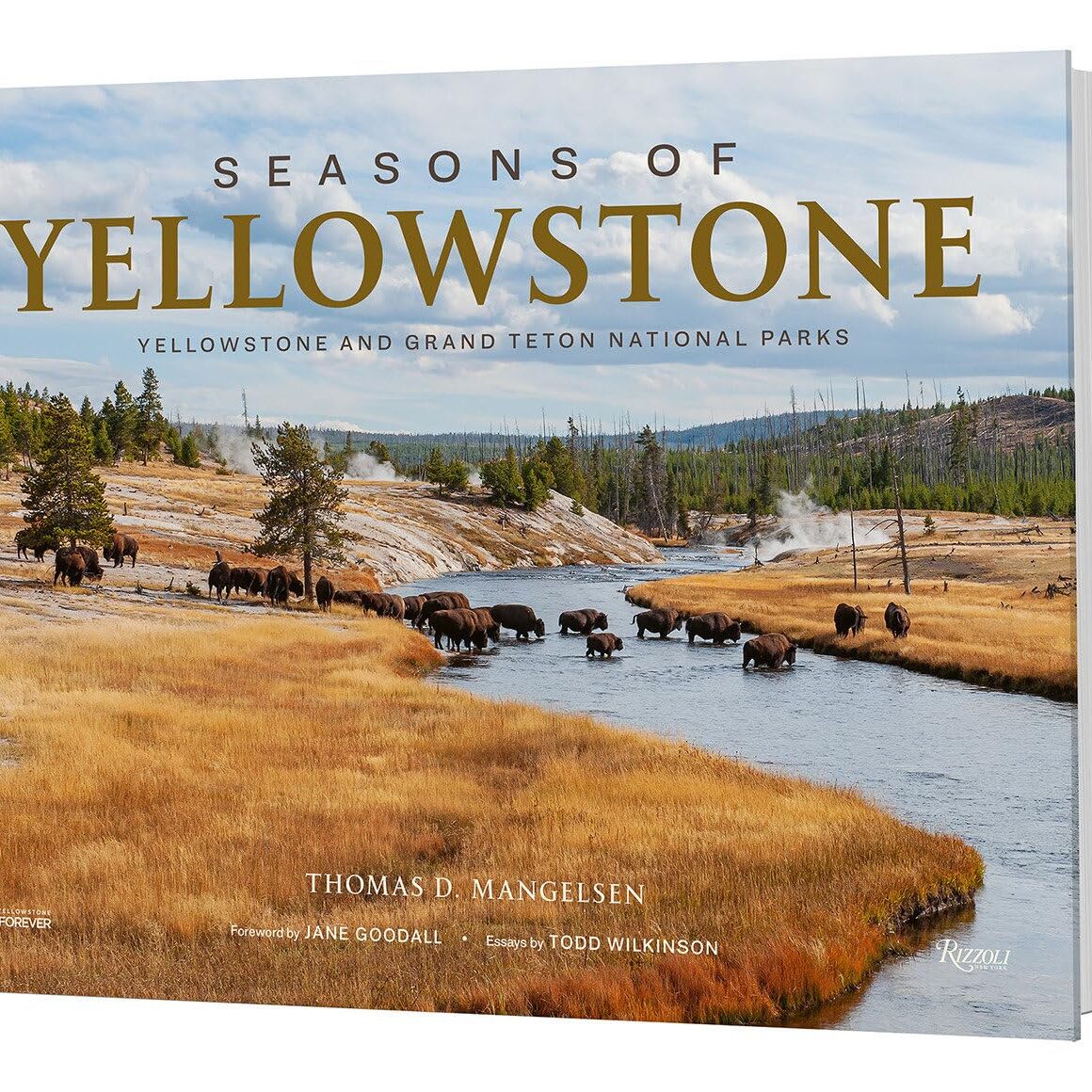 Seasons of Yellowstone book cover