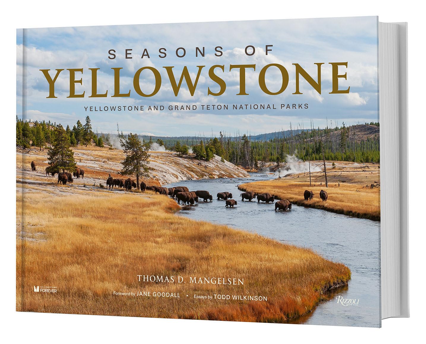 Seasons of Yellowstone book cover