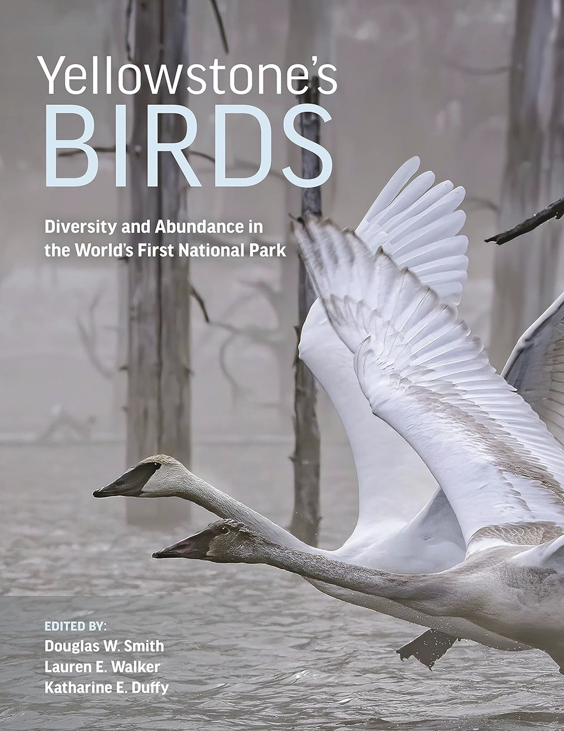 Yellowstone's Birds book cover