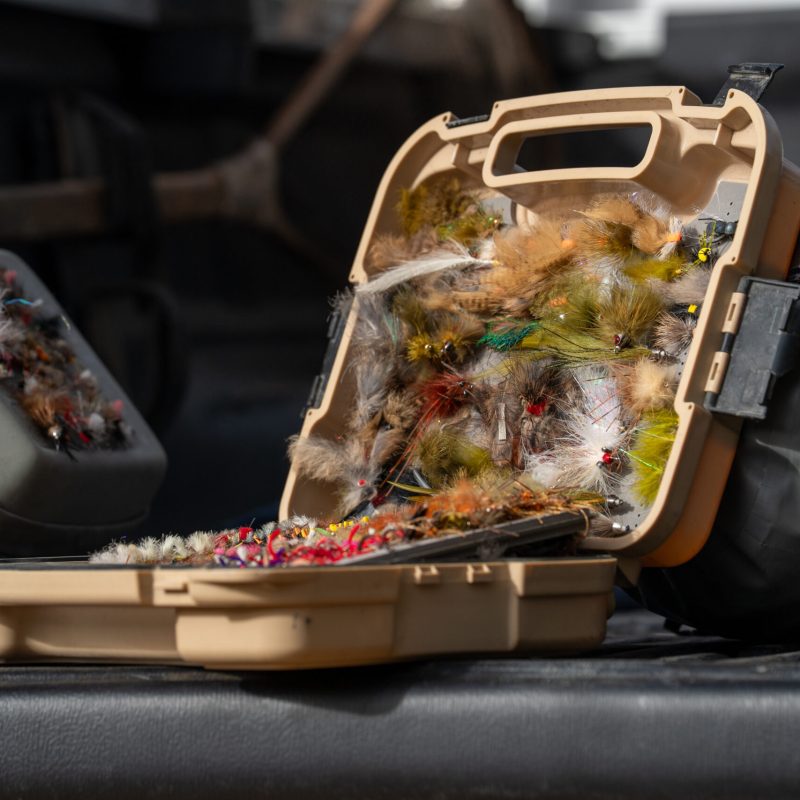 box of flies