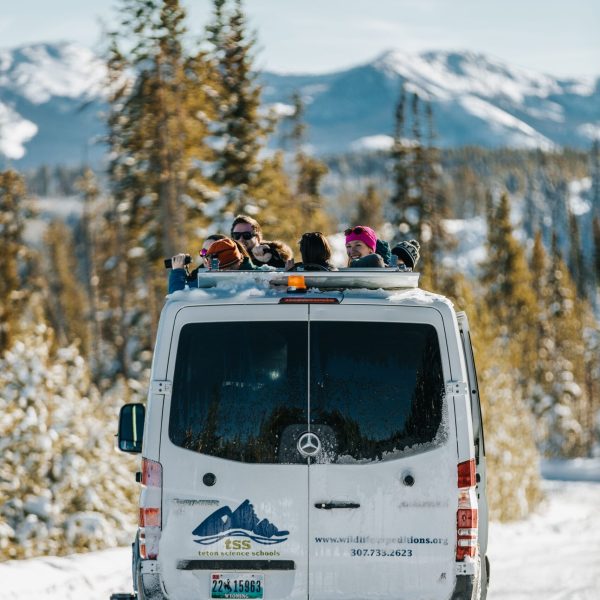 Yellowstone snow coach